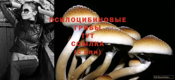 хмурый Арсеньев