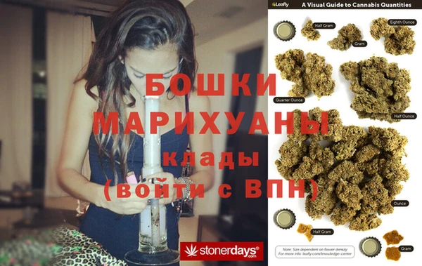 хмурый Арсеньев