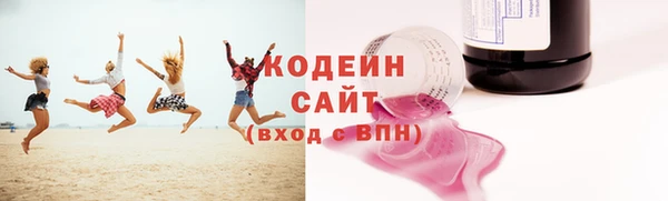 хмурый Арсеньев