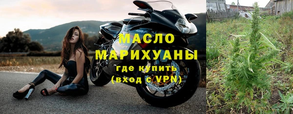 хмурый Арсеньев