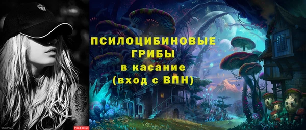 хмурый Арсеньев