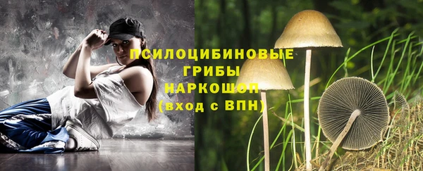 амф Липки