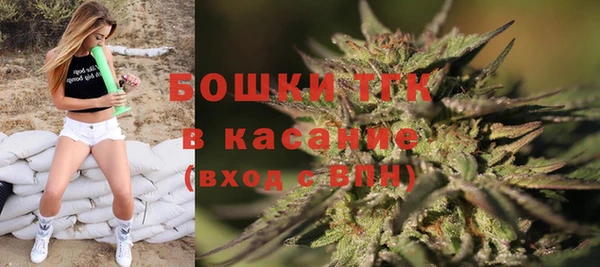хмурый Арсеньев