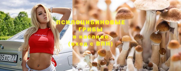 хмурый Арсеньев